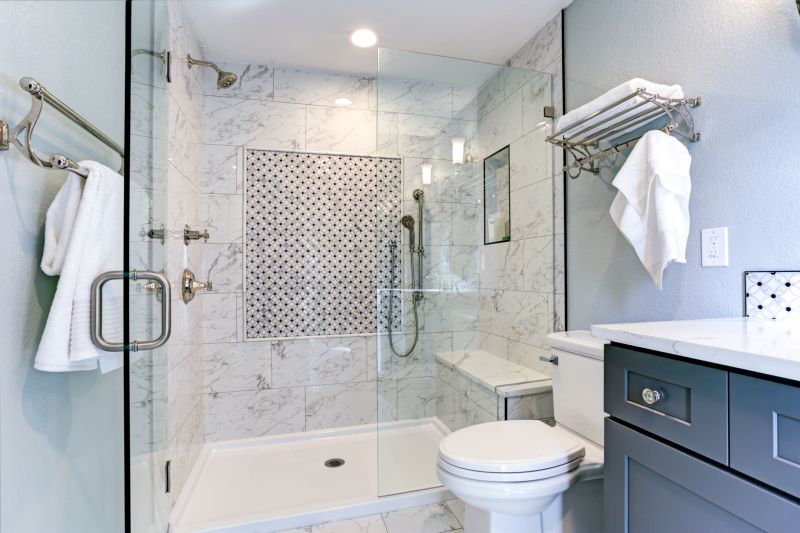Elegant Shower Features